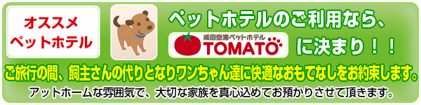 成田ペットホテル　トマト