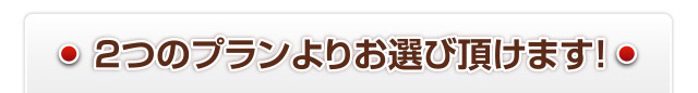 二つのプランよりお選び頂けます！